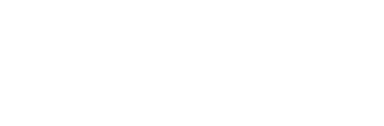 Promise Welfare Society