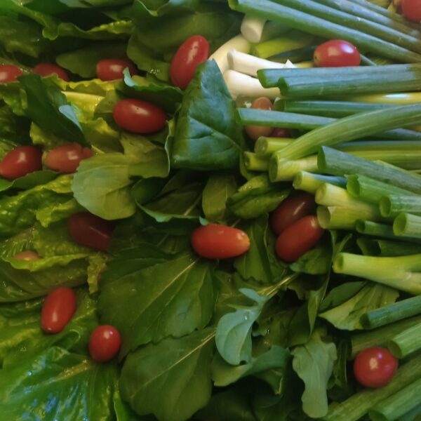 453438607_470318965964363_7217168744826162798_n