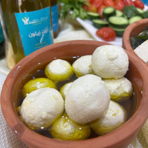 WhatsApp Image 2025-02-08 at 5.33.50 PM (2)