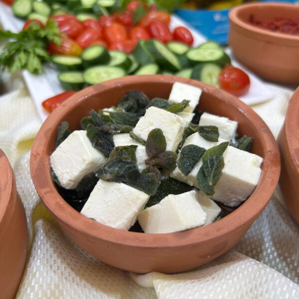 WhatsApp Image 2025-02-08 at 5.33.50 PM (3)